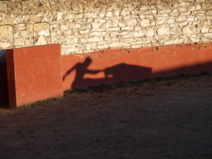 Perfil torero en Finca El Añadío Jaén Turismo rural taurino